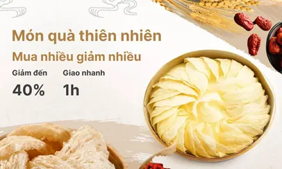 Yến Việt