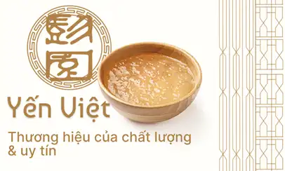 Tổ yến thượng hạng