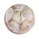 Tổ Yến Thô