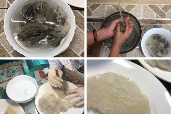 Chi tiết cách nhặt lông yến nhanh nhất và dễ dàng