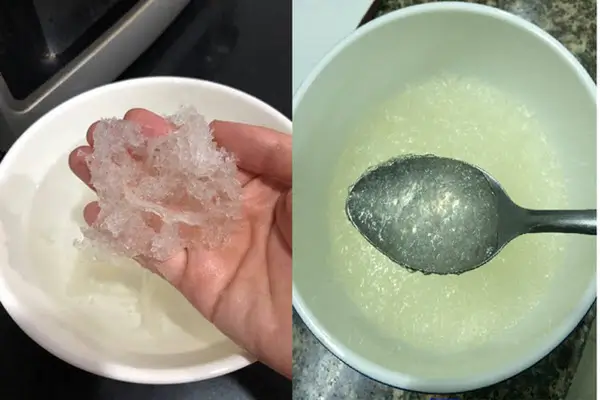 Khi ngâm nước, yến giả được làm từ mủ trôm nhanh chóng mềm và tan nhão