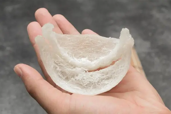 Tổ yến có mang đi Mỹ được không? Cập nhật quy định mới nhất
