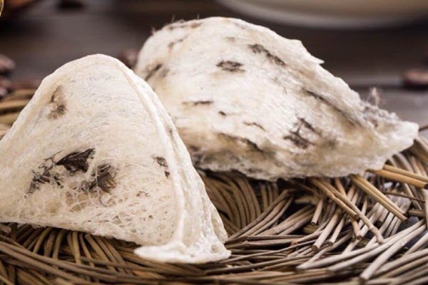 Tổ yến làm từ gì và tại sao lại bổ dưỡng?