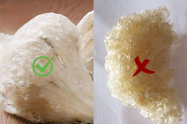 Chọn mua yến sào chất lượng, uy tín để đảm bảo sức khỏe