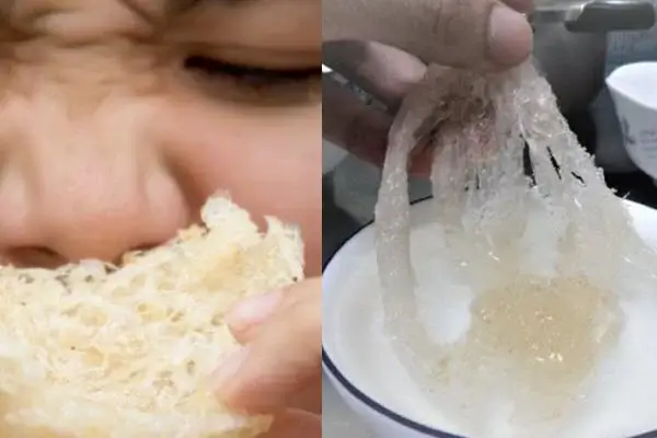 Quan sát màu sắc và hình dáng của tổ yến để phân biệt yến sào thật và giả