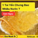 [Giải Đáp] 1 Tai Yến Chưng Bao Nhiêu Nước ?