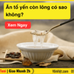 Ăn tổ yến còn lông có sao không? Giải pháp khi lỡ ăn tổ yến có lông