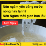 Nên ngâm yến bằng nước nóng hay lạnh? Nên Ngâm thời gian bao lâu?
