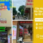Cửa Hàng Bán Yến Sào Gần Đây: Mua Ở Đâu Đảm Bảo Uy Tín?