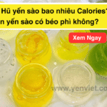 1 Hũ yến sào bao nhiêu Calories? Ăn yến sào có béo phì không?
