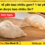 1 tổ yến bao nhiêu gam? 1 tai yến ăn được bao nhiêu lần?