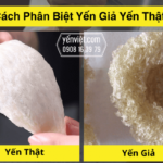 [Top 14+] Cách Phân Biệt Yến Giả Yến Thật Dễ Dàng
