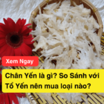 Chân Yến là gì? So Sánh với Tổ Yến nên mua loại nào? Báo giá
