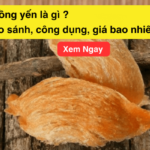 Hồng yến là gì ? So sánh, công dụng, giá bao nhiêu ?