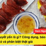 Yến Huyết là gì? Công dụng, báo giá và phân biệt với những yến khác