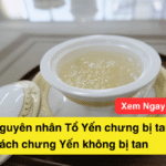Nguyên nhân Tổ Yến chưng bị tan? Cách chưng Yến không bị tan
