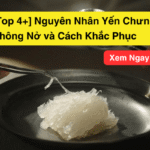 [Top 4+] Nguyên nhân Yến Chưng Không Nở và cách khắc phục