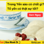 Trong Yến sào có chất gì? Tổ yến có thật sự tốt?