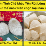 Yến Tinh Chế khác Yến Rút Lông như thế nào? Nên chọn loại nào ?