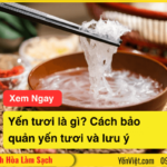 Yến tươi là gì? Cách bảo quản yến tươi và lưu ý